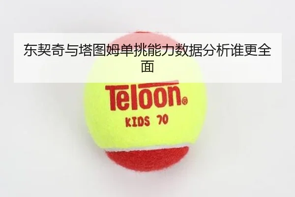 东契奇与塔图姆单挑能力数据分析谁更全面