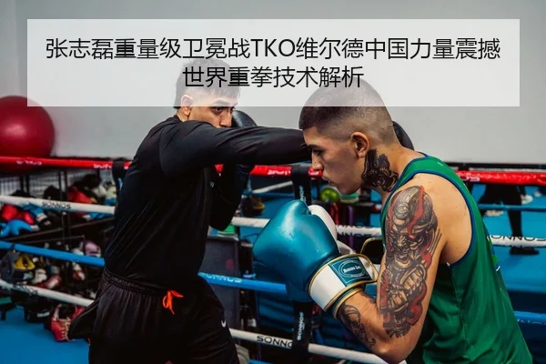 张志磊重量级卫冕战TKO维尔德中国力量震撼世界重拳技术解析